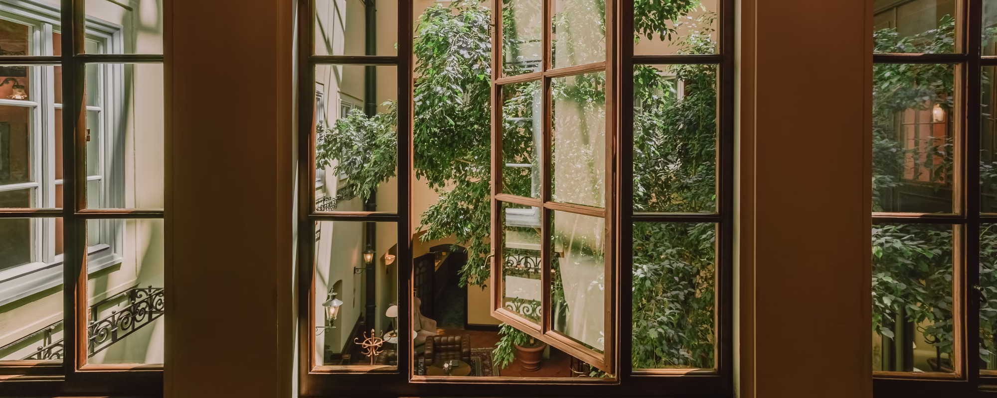 Geöffnetes Fenster mit Holzrahmen und Blick in das Atrium des Innenhofs mit großem Laubbaum